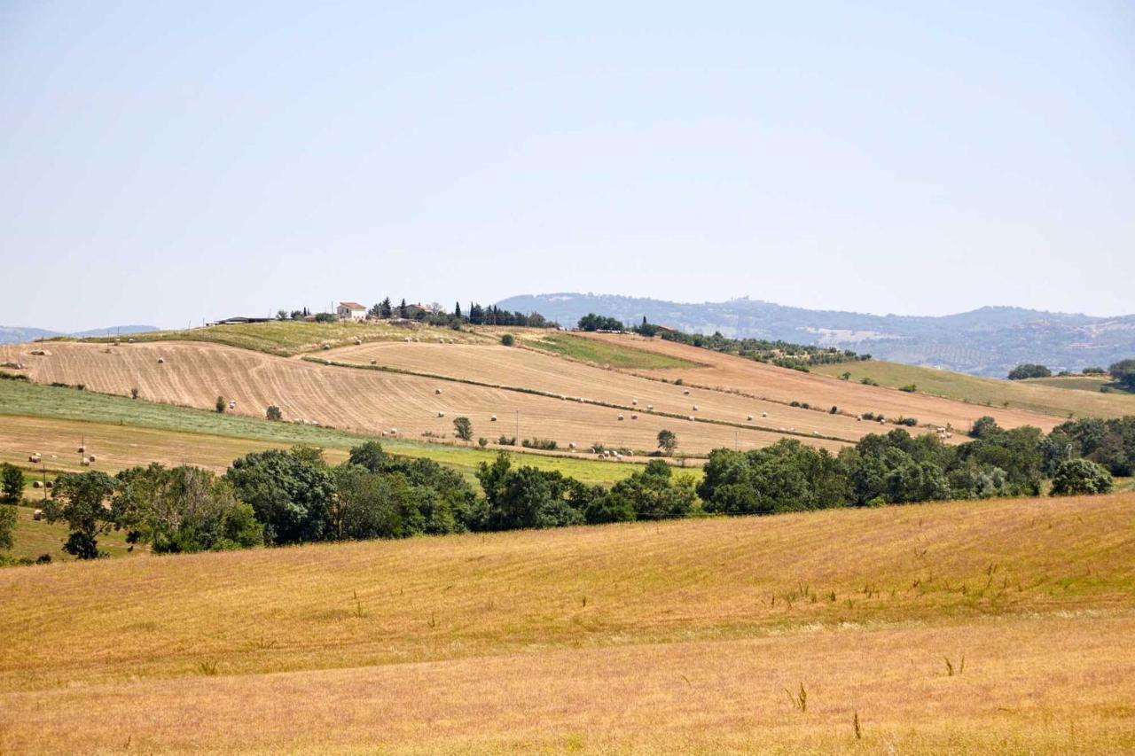 Agriturismo Montecrespini Сатурния Экстерьер фото